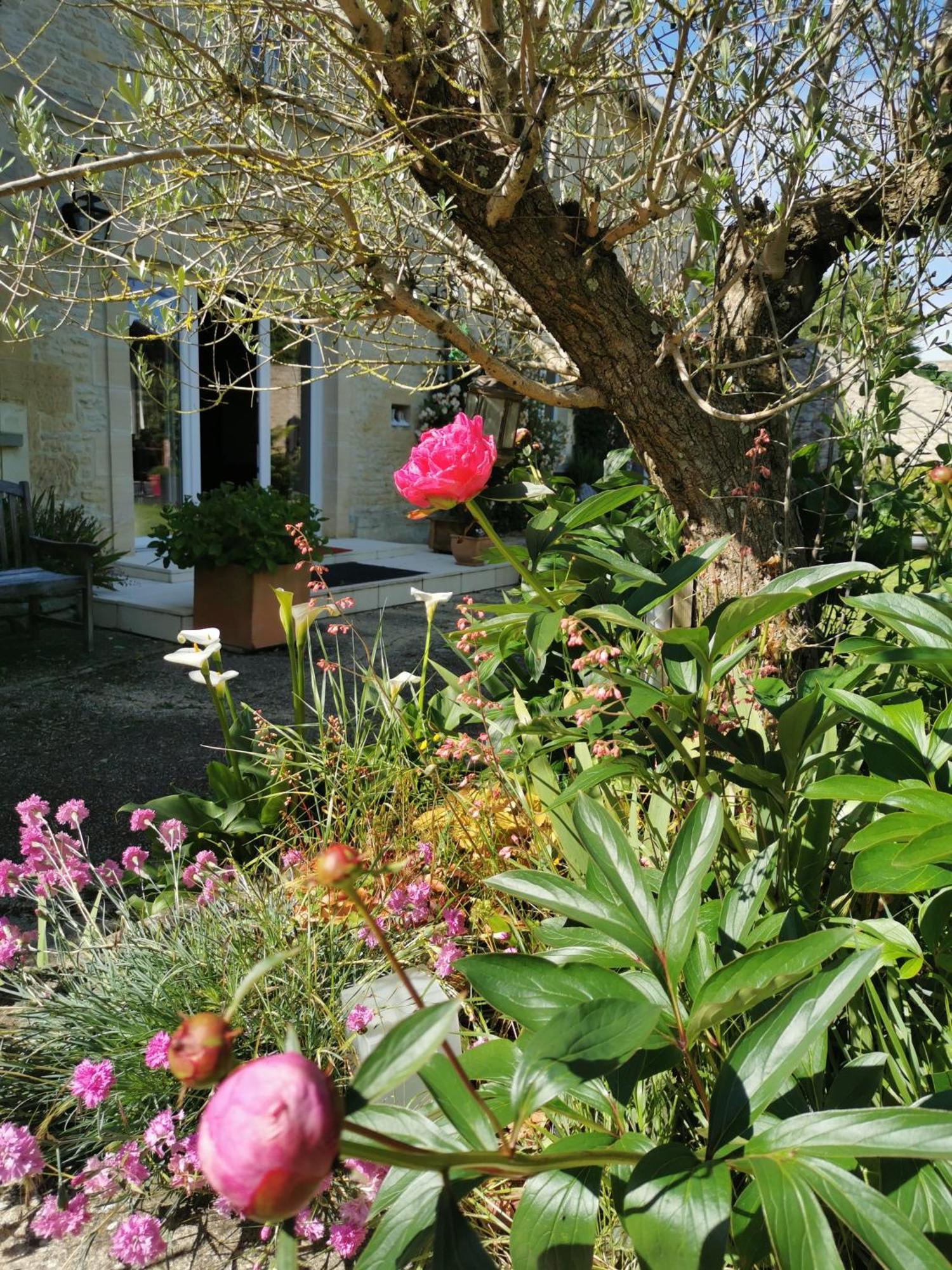 Chambre De L'Iris Sainte-Croix-sur-Mer المظهر الخارجي الصورة